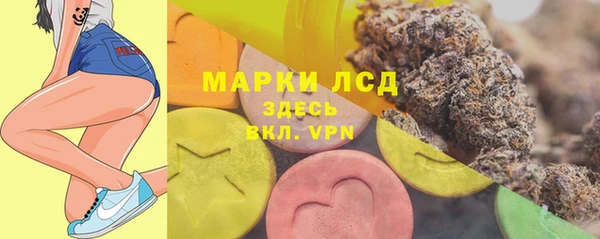 индика Алексин