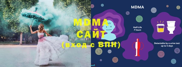 индика Алексин