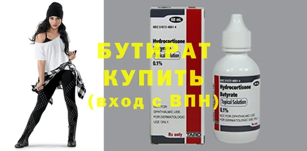 индика Алексин