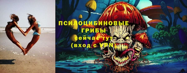 дмт Армянск