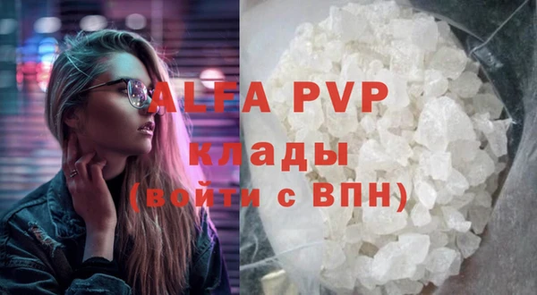 индика Алексин