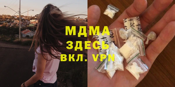 индика Алексин