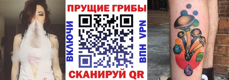 Галлюциногенные грибы Psilocybine cubensis  Грязовец 